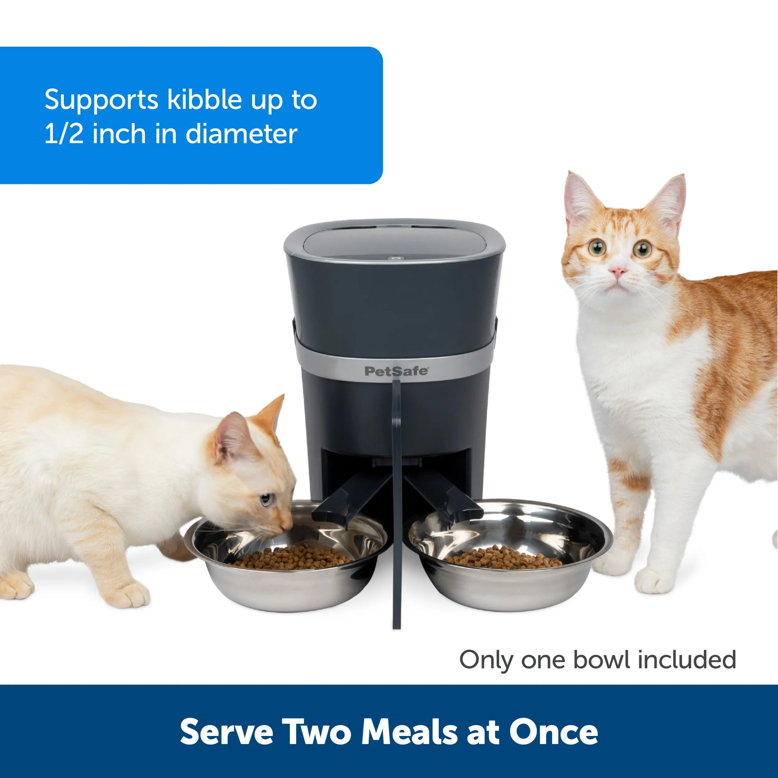 2-Pet Meal Splitter with Bowl