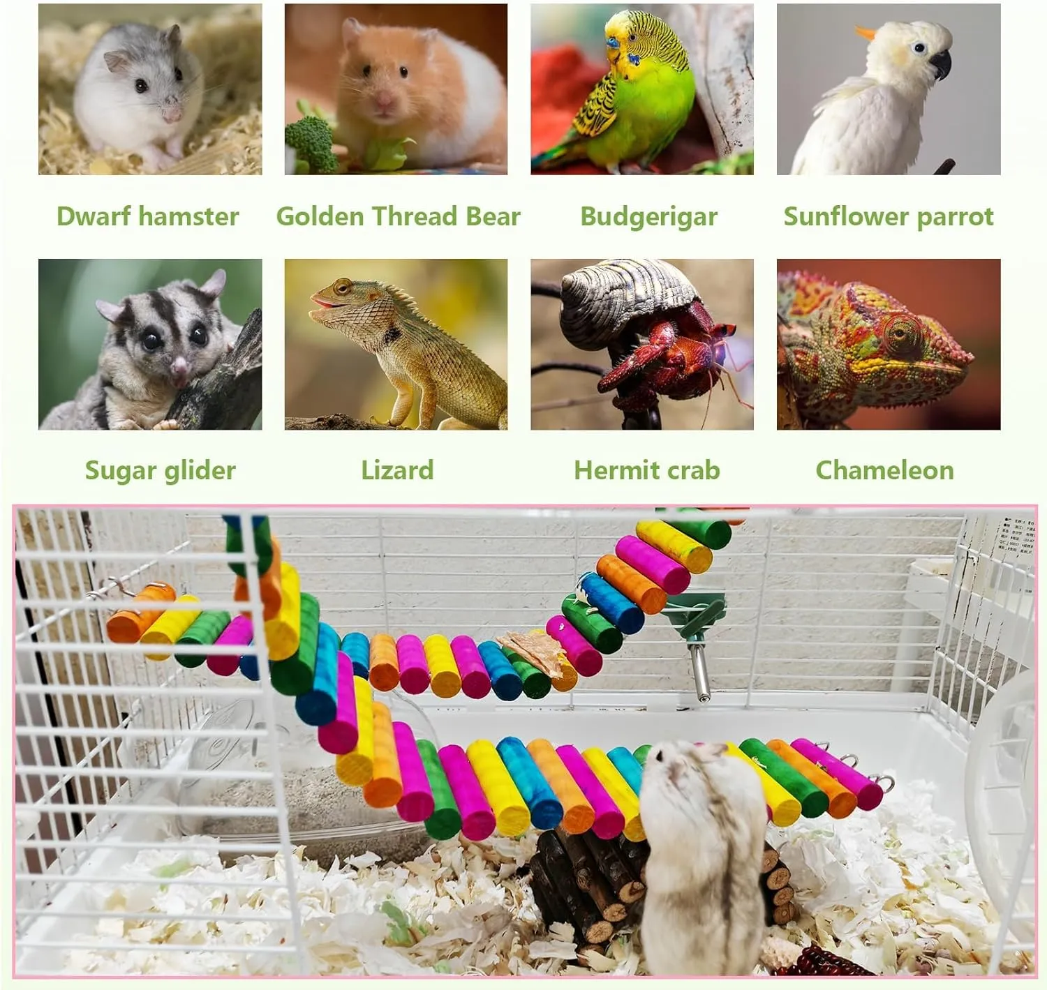 2Piece Hamster Colorful Bridge,Flexible Bendy Climbing Ladder Hanging Wooden Stairs Chew Toy for Bird Parrot Chipmunk Sugar Glider Gerbil Mice
