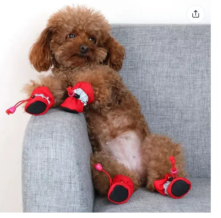4Pcs/set Dog Shoes for Small Dogs Anti-Slip Dogs Boots Paw Protector with Reflective Straps Lightweight Walking Pet Booties for Small and Medium Pets