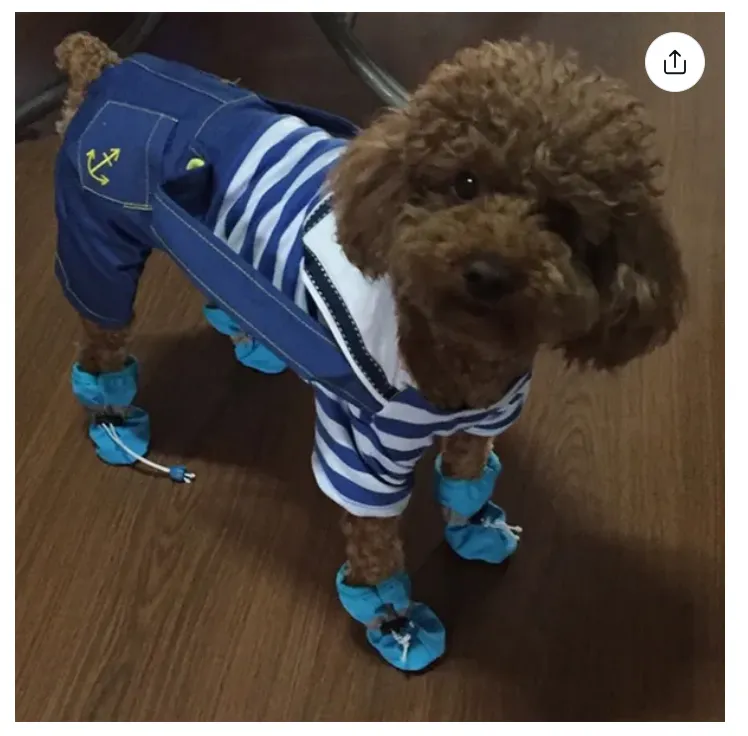 4Pcs/set Dog Shoes for Small Dogs Anti-Slip Dogs Boots Paw Protector with Reflective Straps Lightweight Walking Pet Booties for Small and Medium Pets