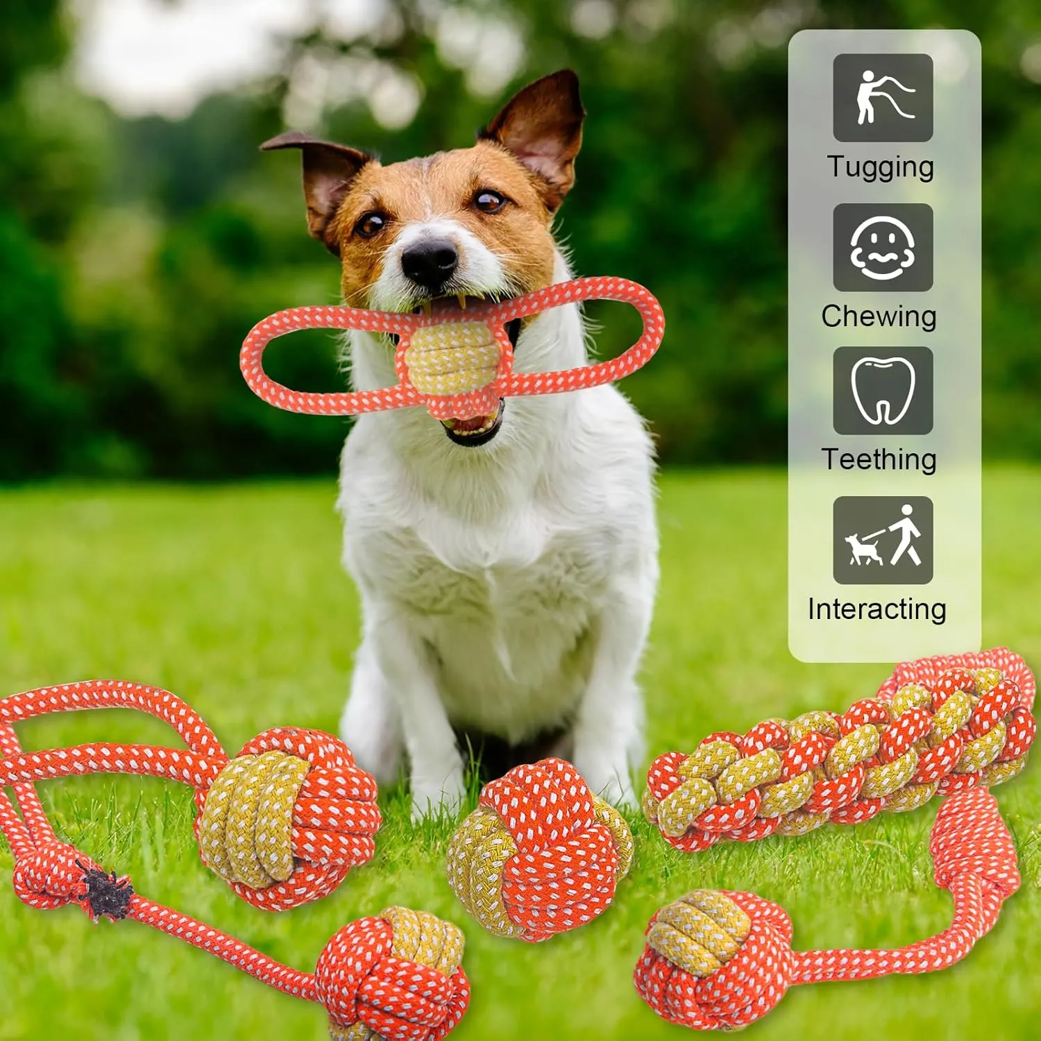7 Pack Puppy Rope Toys - Variety of Dog Cotton Rope Toys for Small Dogs, Teething, Chewing & Boredom Relief - Orange