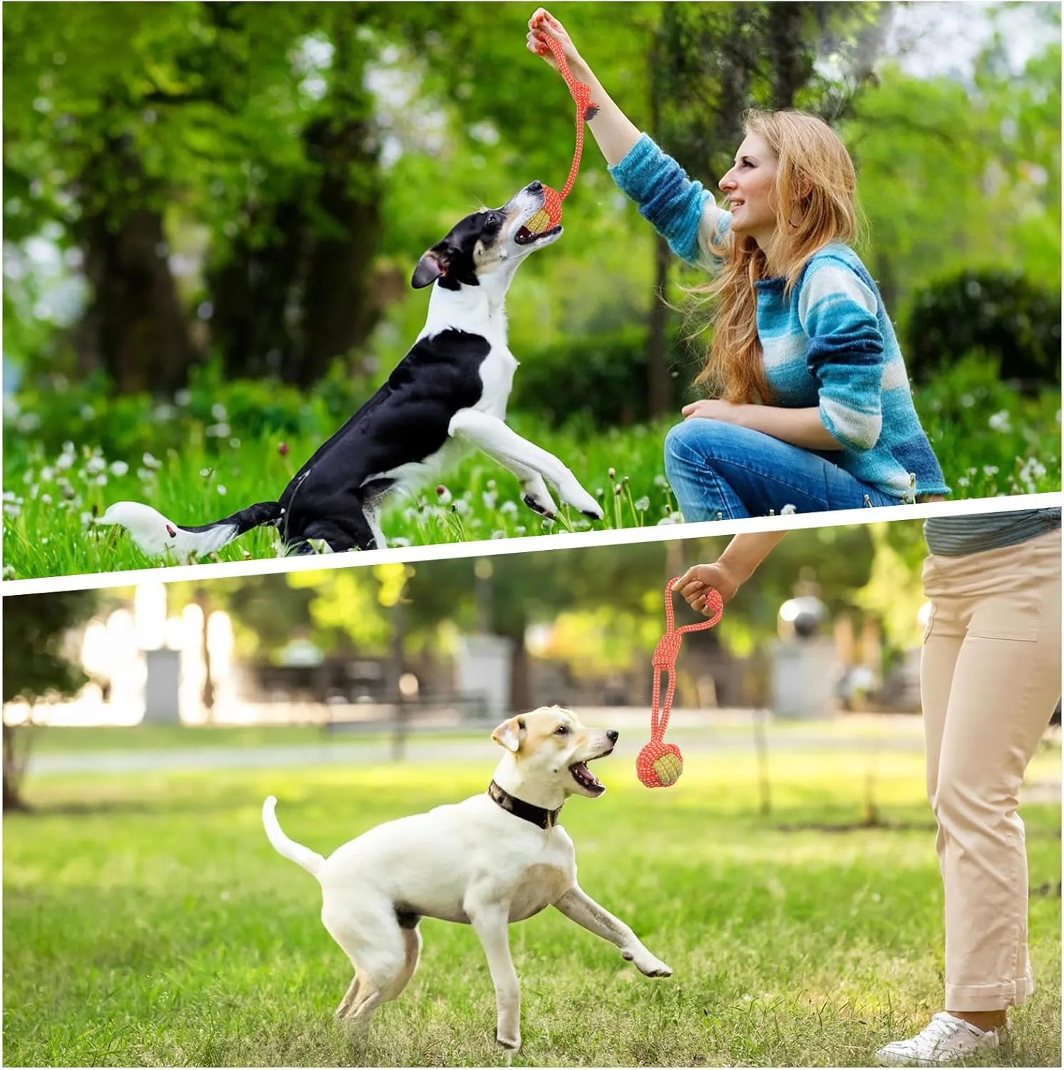 7 Pack Puppy Rope Toys - Variety of Dog Cotton Rope Toys for Small Dogs, Teething, Chewing & Boredom Relief - Orange