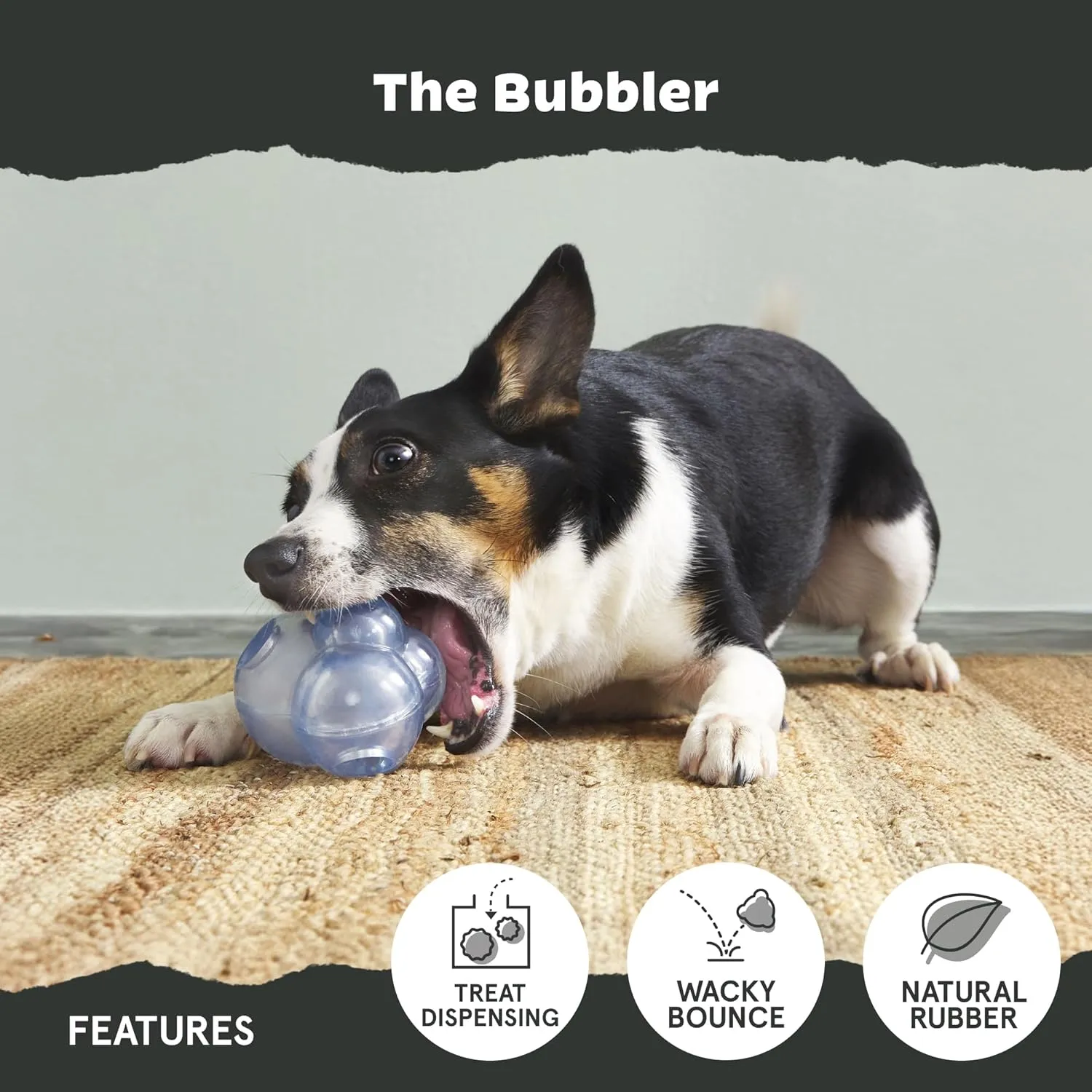 Barkbox Bubbler Treat Dispensing Dog Toy for Medium Dogs  Wacky Bounce for Playful Pups Who Love a Challenge and Engaging Fun