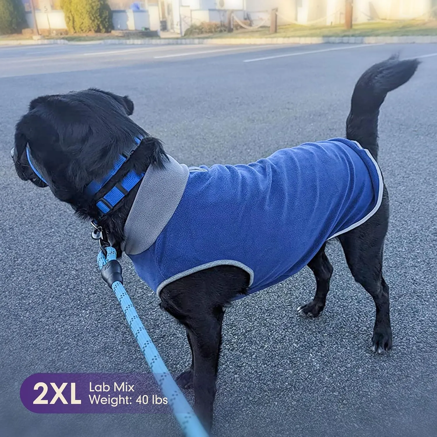 cyeollo 2 Pack Dog Sweater Fleece Vest Pullover Sweatshirt Reflective Lightweight Dog Clothes for Large Dogs Boy Girl Pet Apparel Navy, Grey, XXXL