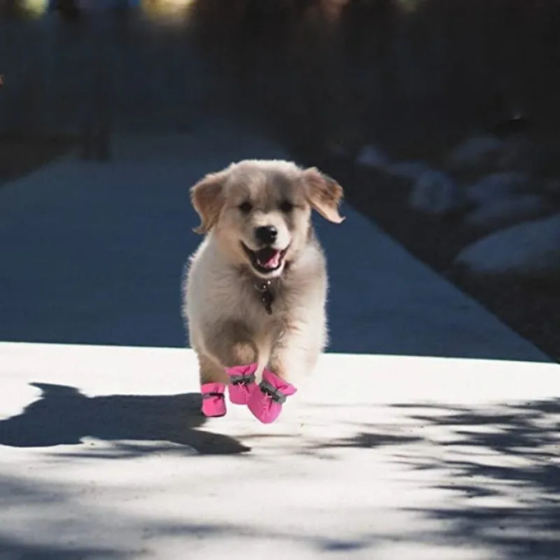 Dog Boots & Paw Protector, Anti-Slip Sole Winter Snow Dog Booties