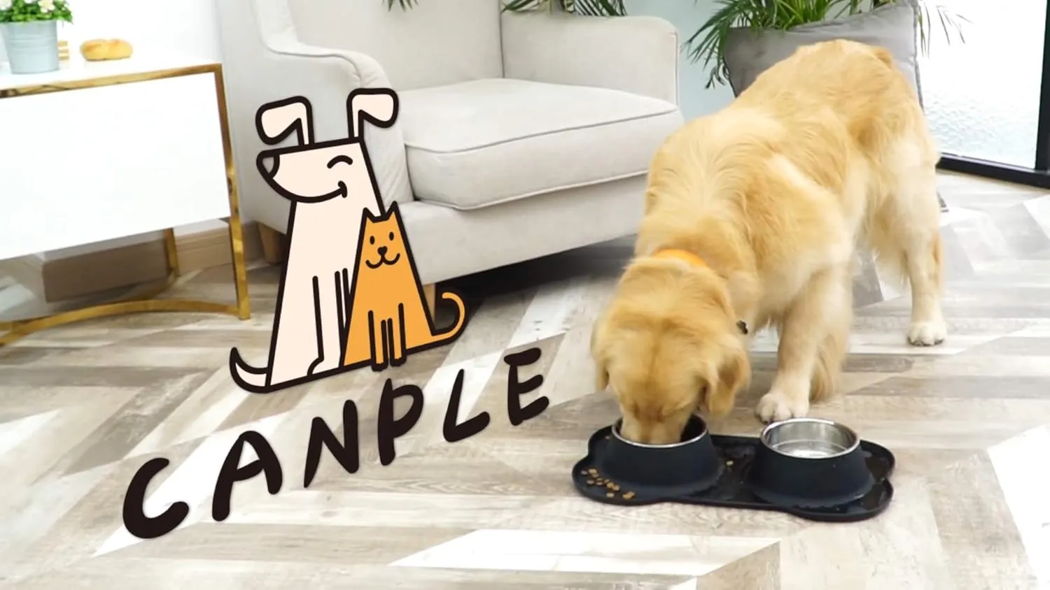 Dog Bowl Stainless Steel Dog Bowls Food Water Pet Feeder with No Spill Non-Skid [Strong Suction Cup] Silicone Mat Waterproof for Pets Small Medium Large Dogs (27 OZ ea, Grey)