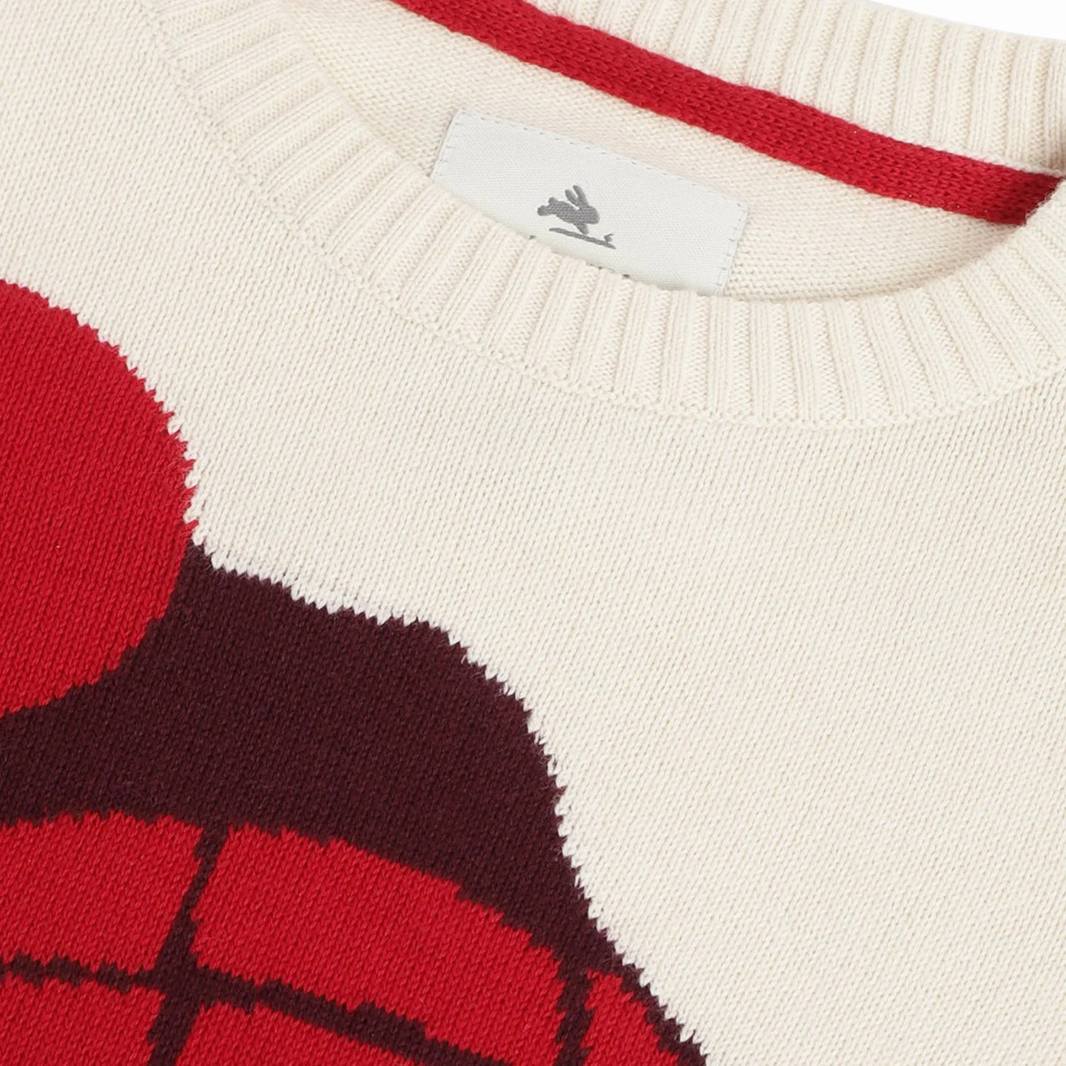Dog Knitted Sweater
