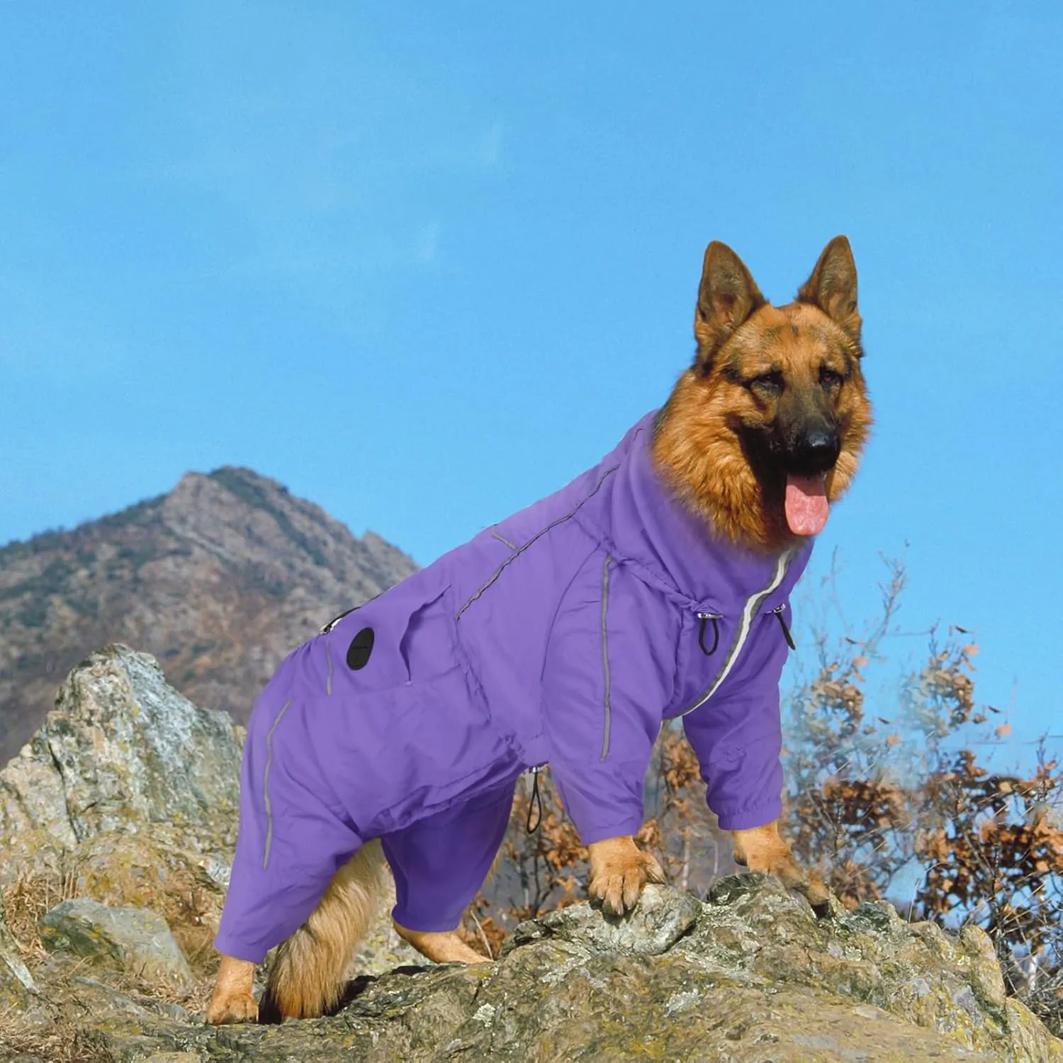 Dora Bridal Windproof Dog Jacket, Lightweight Water Resistant Dog Rain Coat, Adjustable Four-Legged Reflective Dogs Raincoat, Anti-Static Dogs Windbreaker for Hiking Waking(Purple, M)
