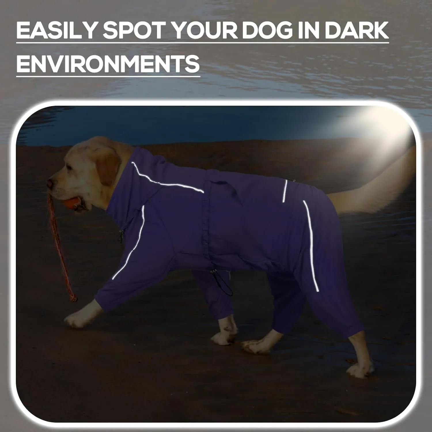 Dora Bridal Windproof Dog Jacket, Lightweight Water Resistant Dog Rain Coat, Adjustable Four-Legged Reflective Dogs Raincoat, Anti-Static Dogs Windbreaker for Hiking Waking(Purple, M)