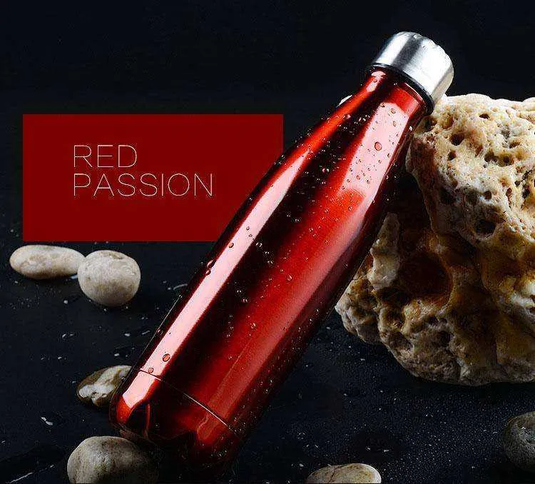 Double-Wall Insulated Vacuum Flask Stainless Steel Thermos Water Bottle