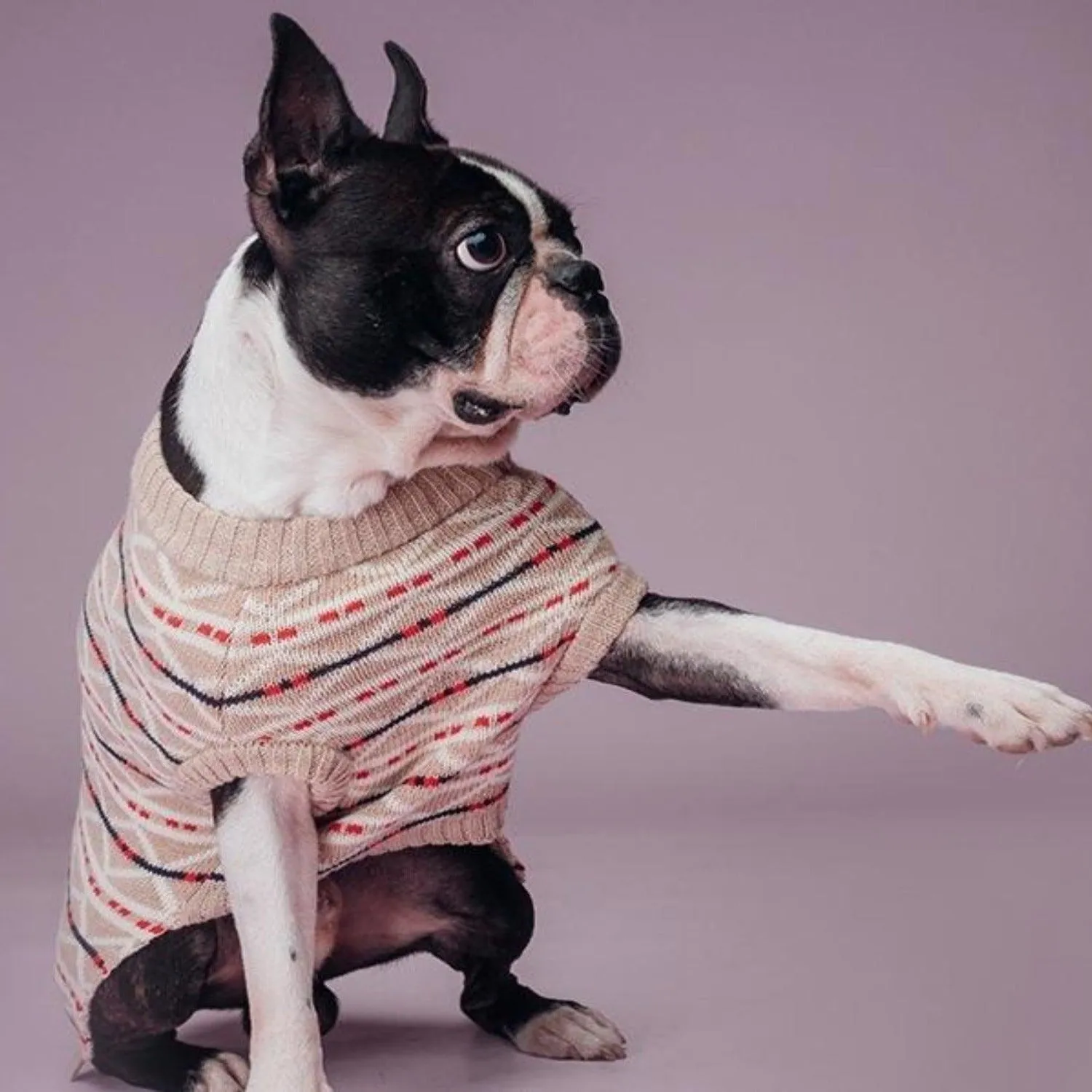 Fairies & Tales Dog Jumper Sweater