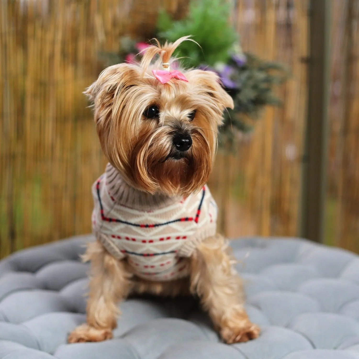 Fairies & Tales Dog Jumper Sweater