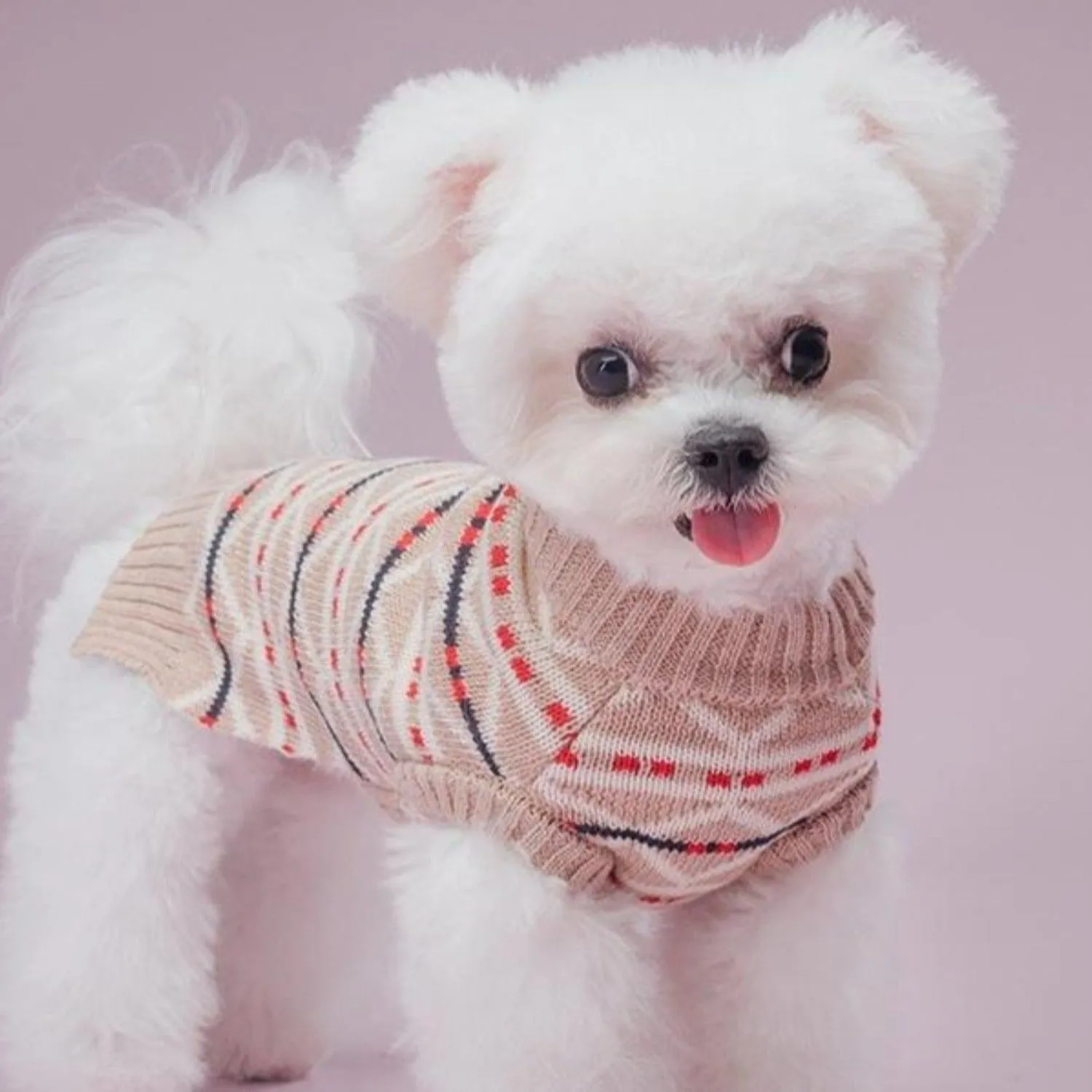 Fairies & Tales Dog Jumper Sweater