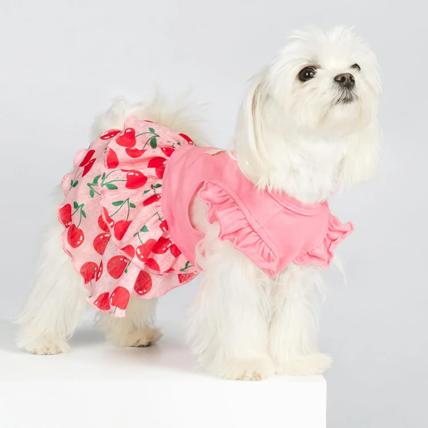 Fitwarm Cherry Cupcake Dog Tiered Dress, Doggy Clothes for Small Dogs Girl, Dog Summer Dress, Pet Apparel, Light Pink, Red, Green, XXS