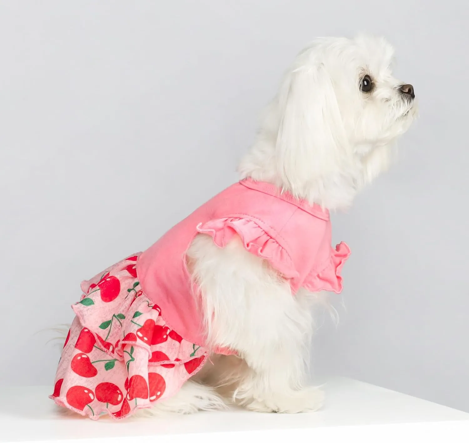 Fitwarm Cherry Cupcake Dog Tiered Dress, Doggy Clothes for Small Dogs Girl, Dog Summer Dress, Pet Apparel, Light Pink, Red, Green, XXS