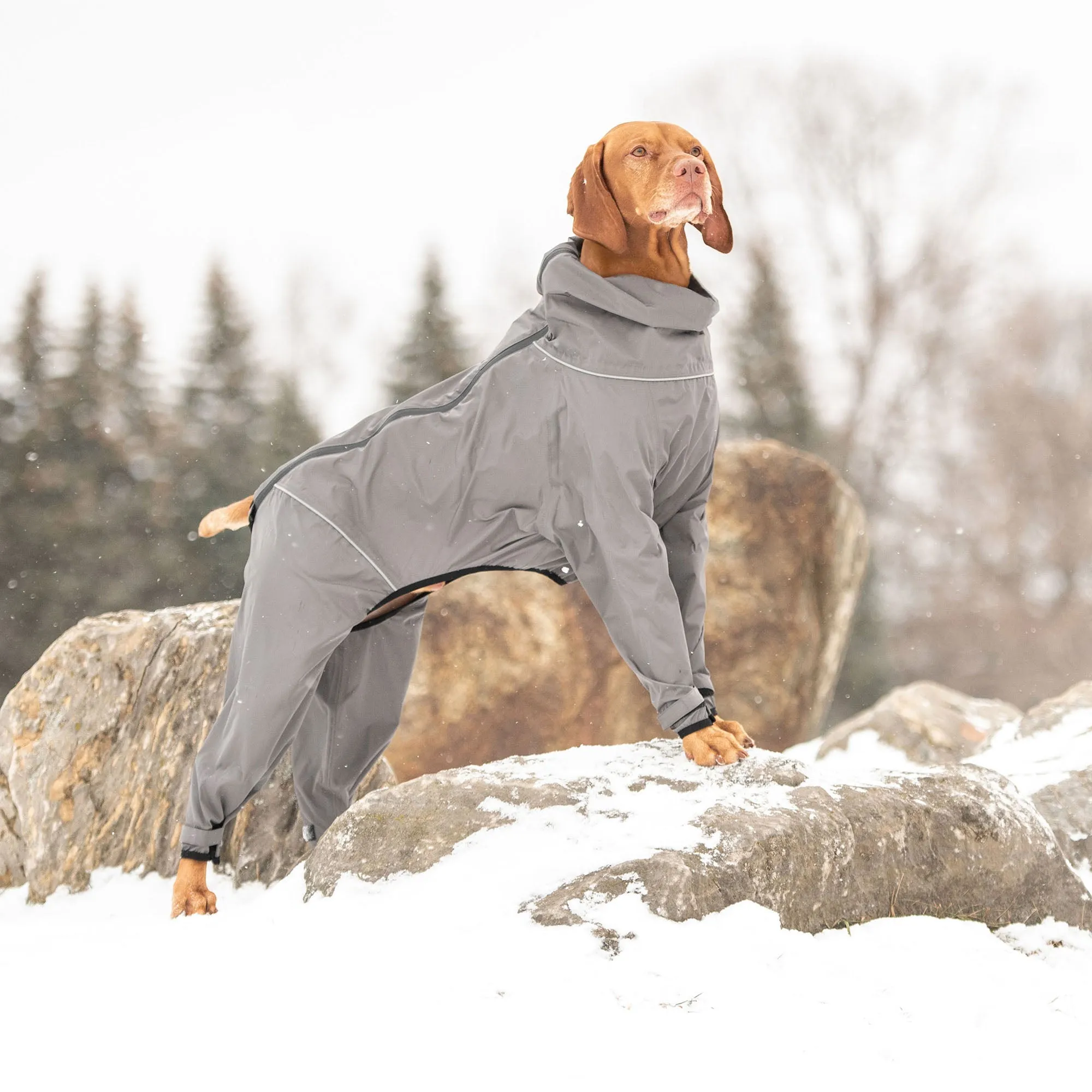 Full Body Waterproof Splash Suit – Complete Protection for Your Pet