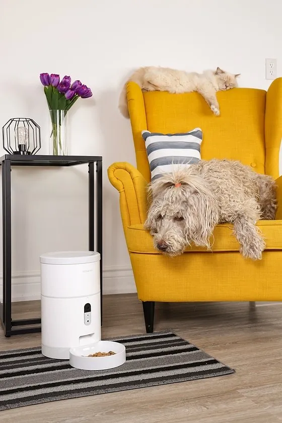 Instachew Purechew Smart Pet Feeder