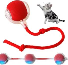 Interactive Cat & Dog Toys - 2024 New Automatic Motion Activate Multicolor Rolling Ball for Indoor Cats & Puppies (Red)