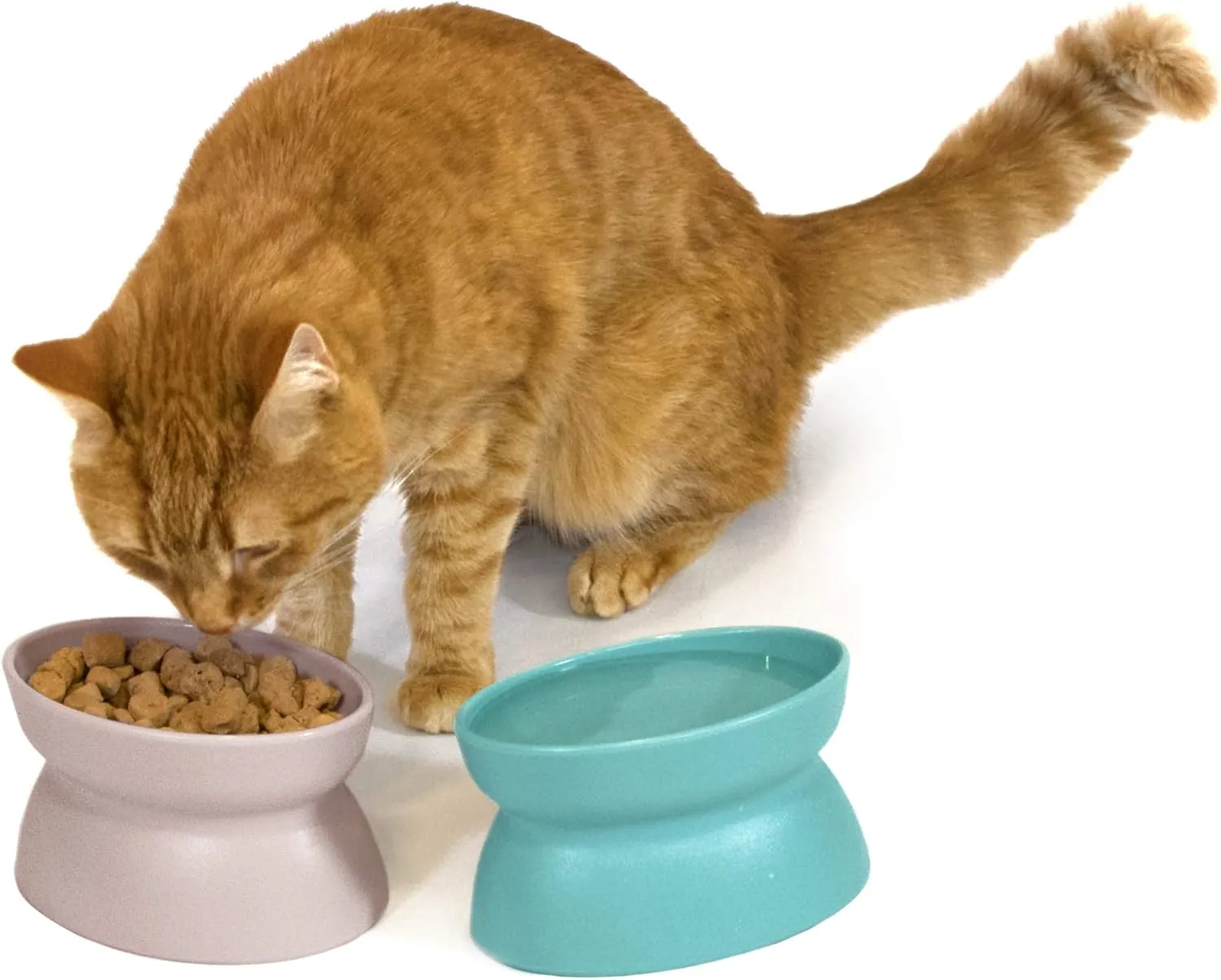 Kitty City Raised Cat Bowls, Small Bowl 2pk (Pastel)