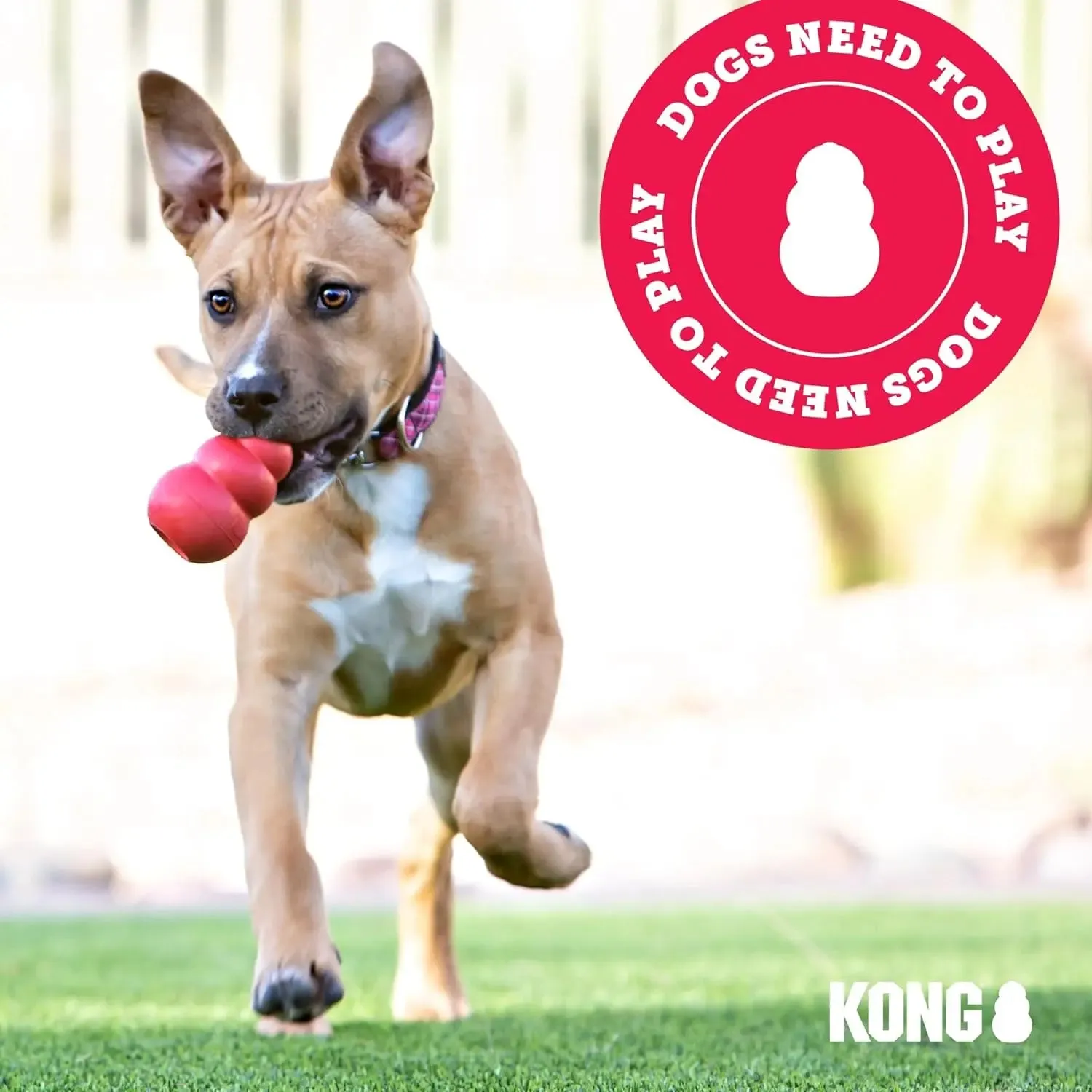 Kong Extreme Goodie Bone Dog Toys Black