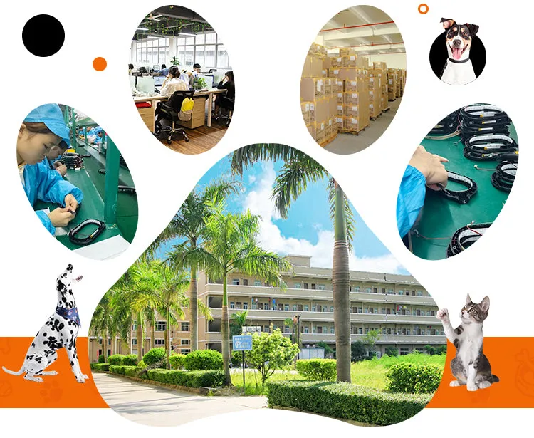 PAWS ASIA Suppliers ABS Smart Wifi Timer 4L Automatic Slow Pet Feeder With Camera Voice Interaction Dog Cat