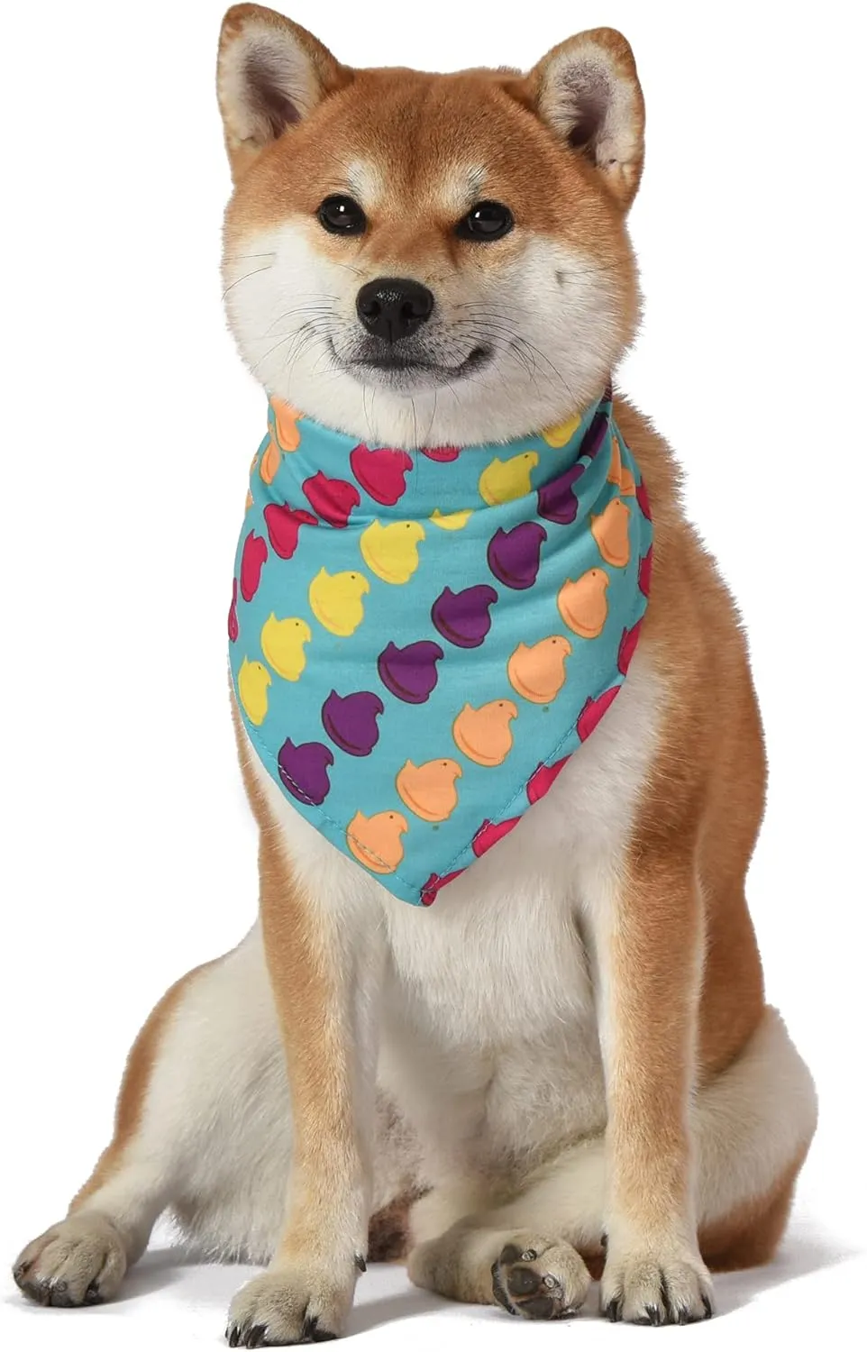 Peeps for Pets Chick Rainbow Print Dog Bandana, Medium/Large | Large Dog Bandana Officially Licensed Pet Product | Cute, Soft, Machine Washable Dog Apparel & Accessories for All Dogs