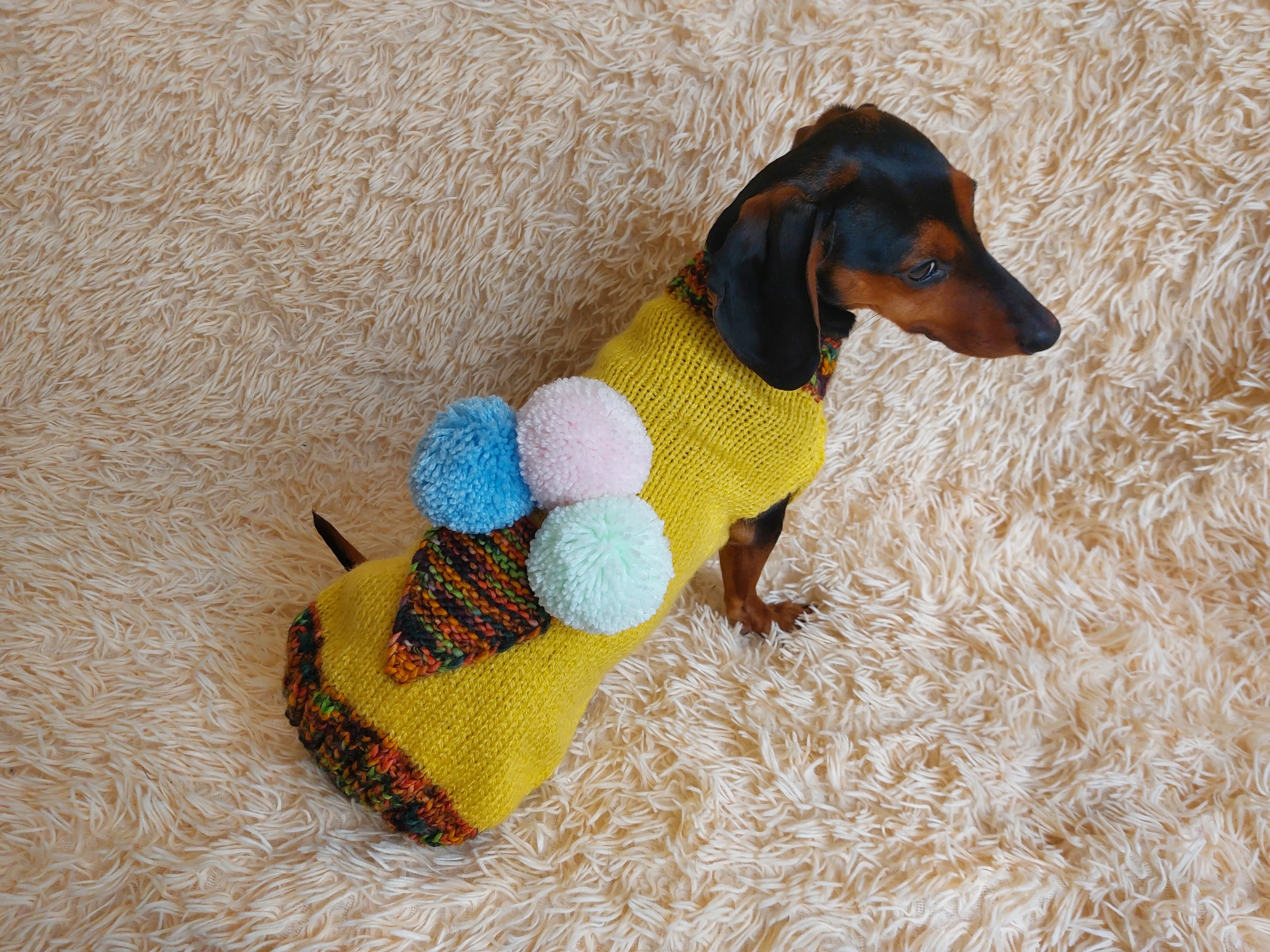 Pet clothing ice cream jumper, ice cream sweater for dogs
