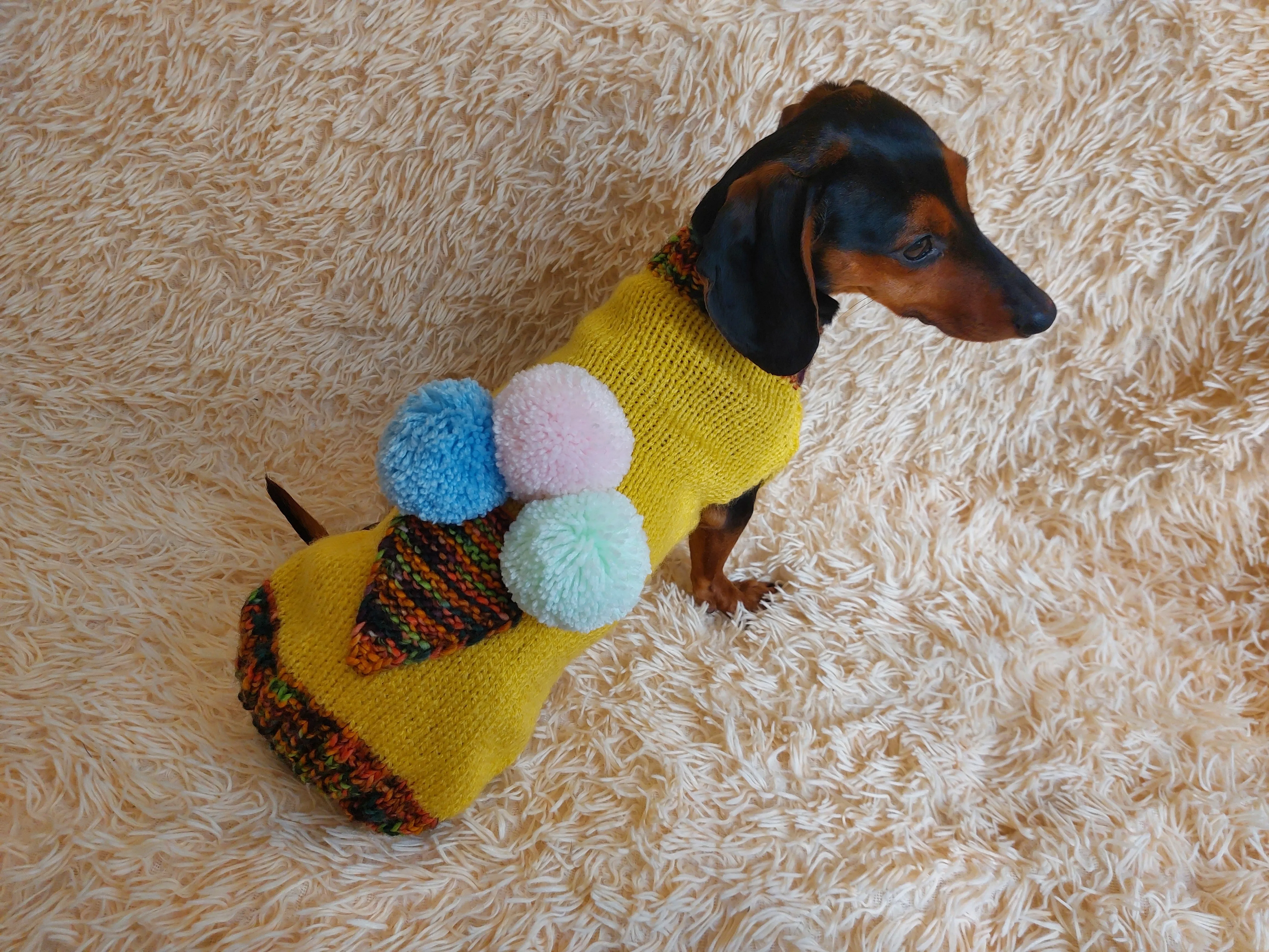 Pet clothing ice cream jumper, ice cream sweater for dogs
