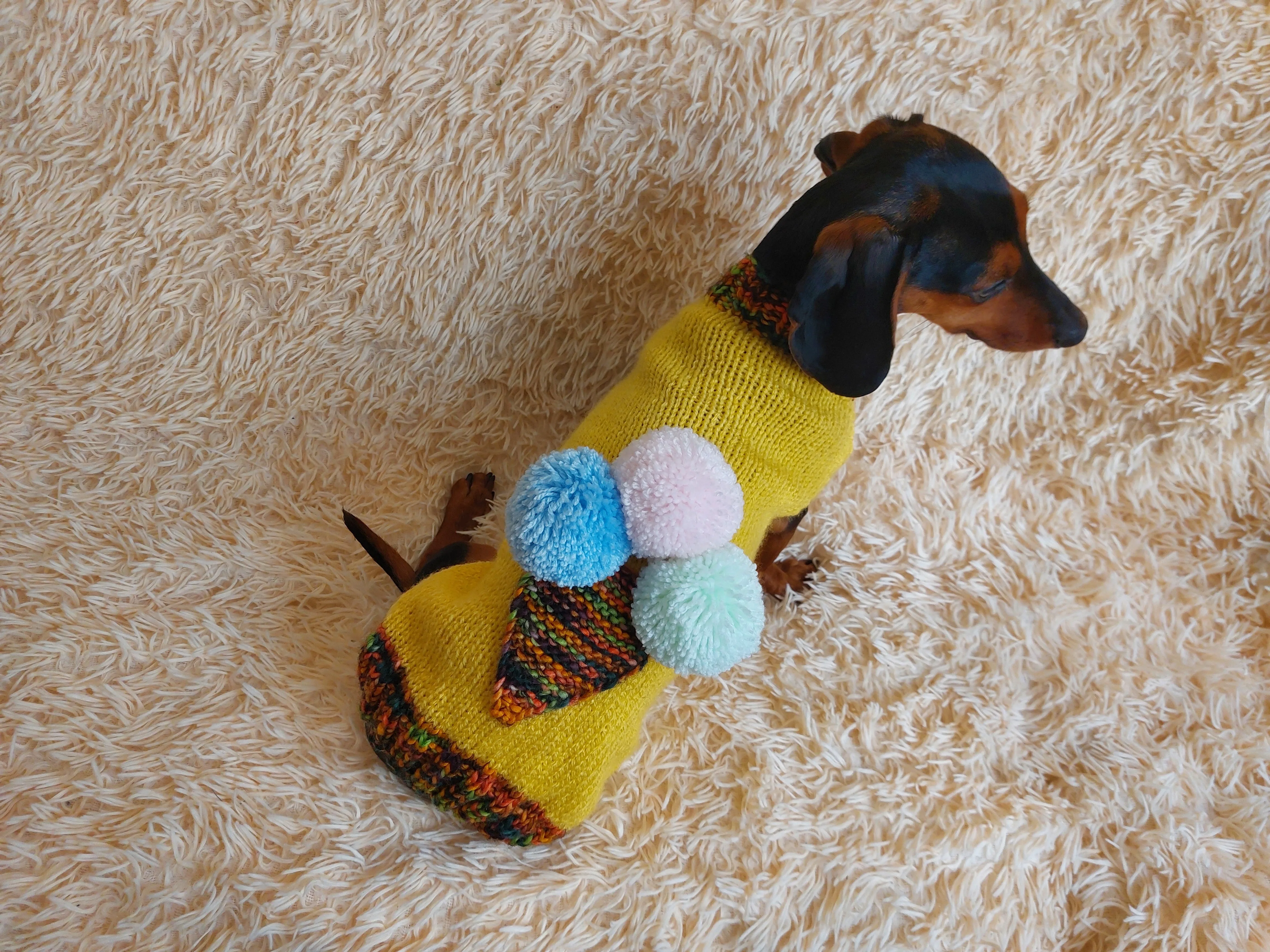 Pet clothing ice cream jumper, ice cream sweater for dogs