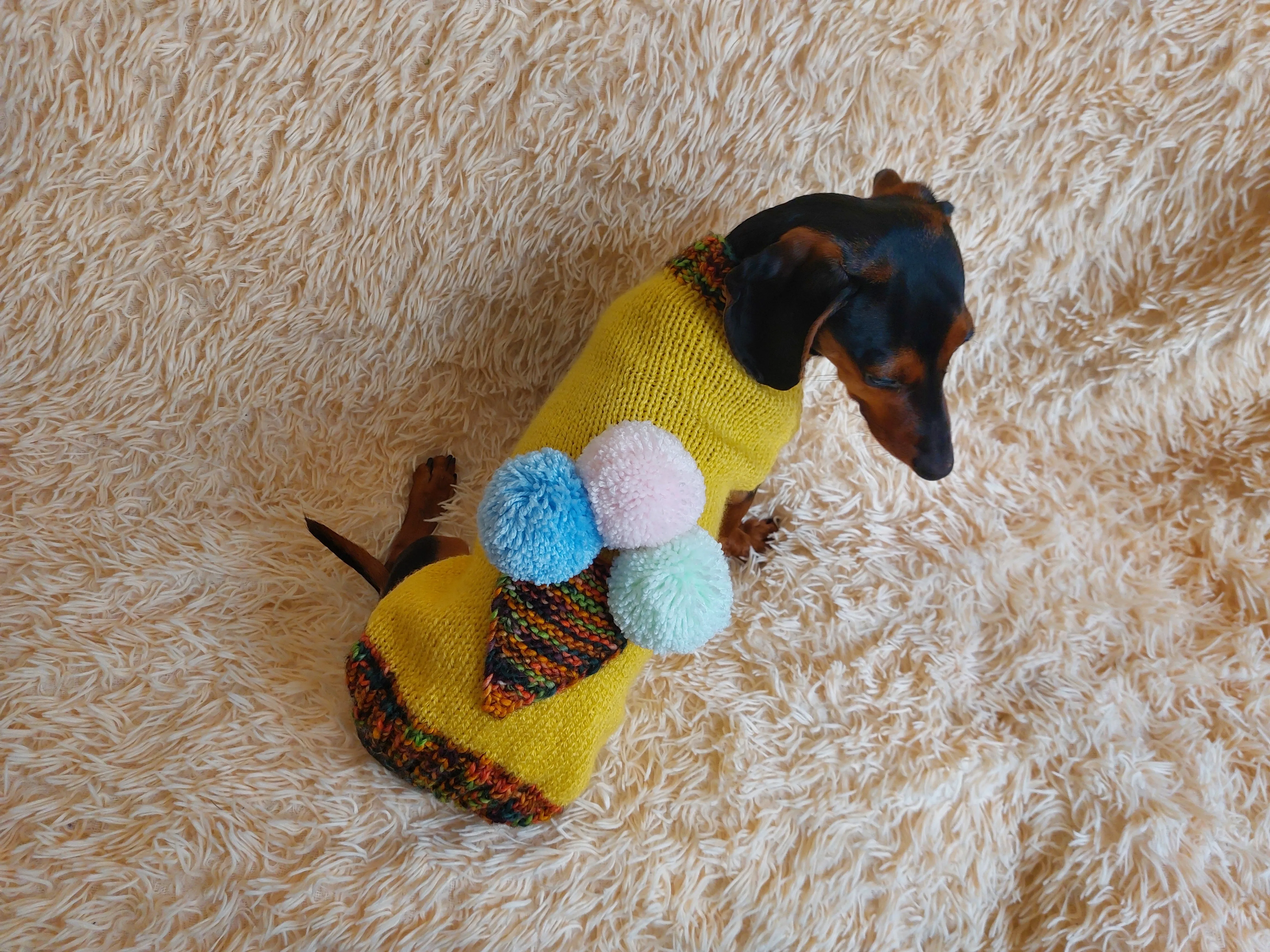 Pet clothing ice cream jumper, ice cream sweater for dogs