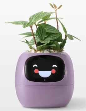 Plantagotchi AI Plant Pot with Expression - Smart Planter Robot Guidance on Plant Companion with Rich Gesture Interaction, Desk Setup Gift (Purple)