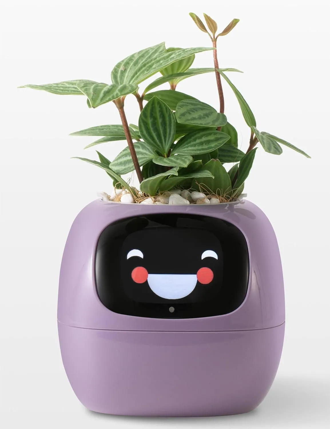 Plantagotchi AI Plant Pot with Expression - Smart Planter Robot Guidance on Plant Companion with Rich Gesture Interaction, Desk Setup Gift (Purple)