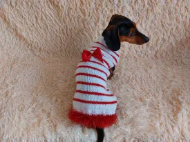 Red and white pet sweater with a bow, clothes with a bow for a mini dachshund