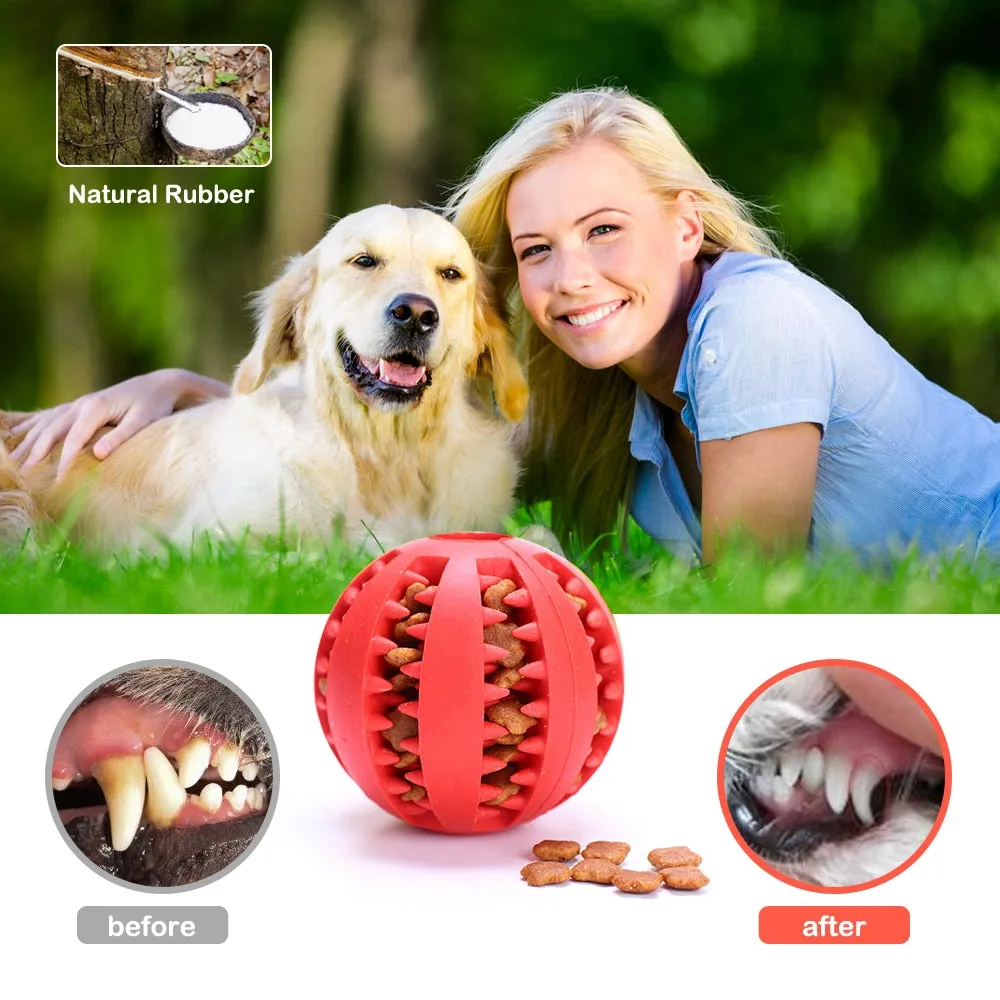 Rubber Treat Chew Toy
