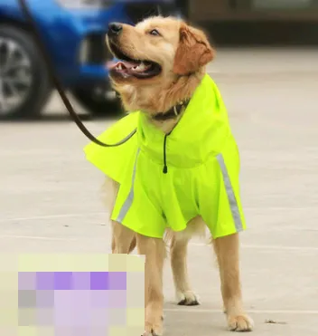 Spring and Summer Dog Raincoat