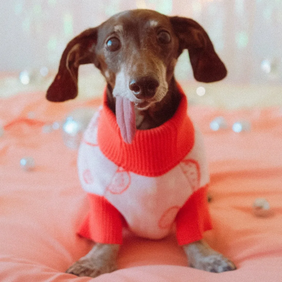Strawberry Knitted Dog Sweater