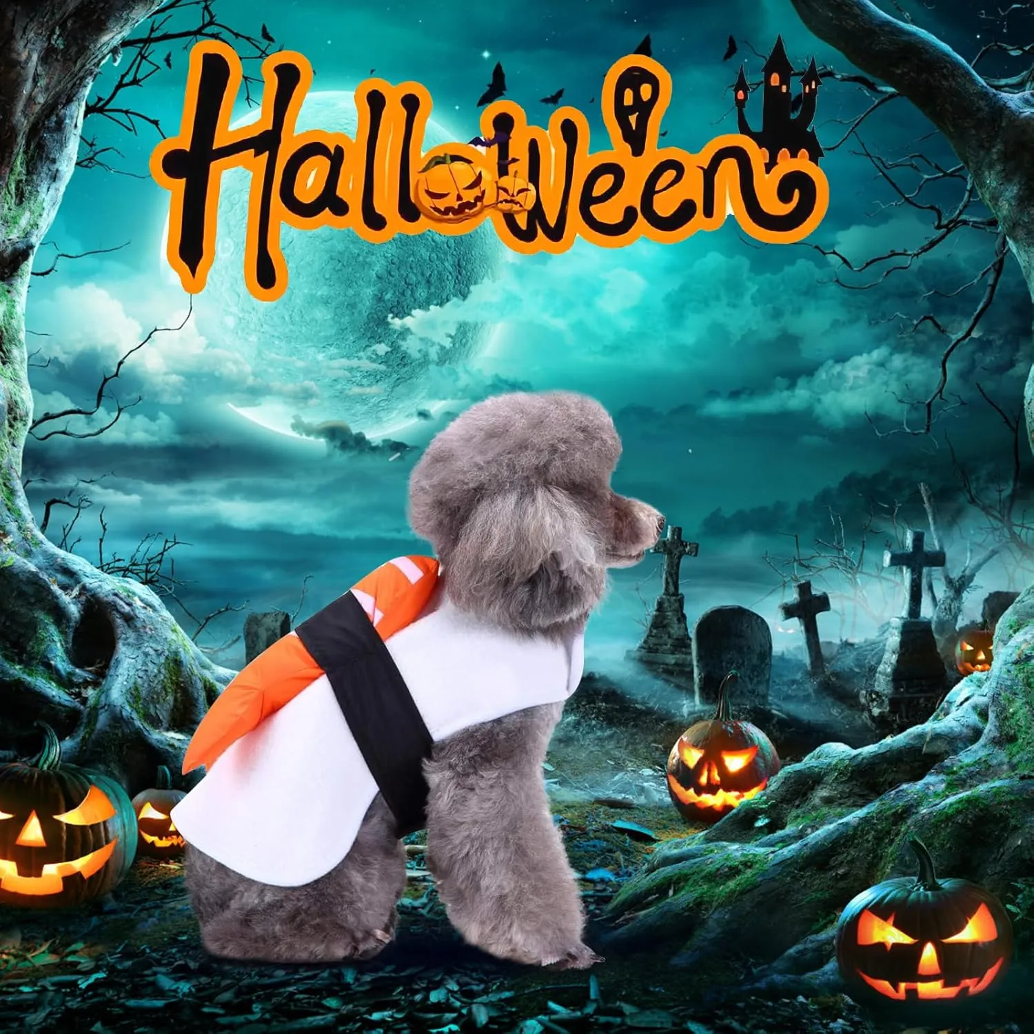 Sushi Dog Halloween Costume Fish Food Pet Costume, Cat Puppy Halloween Costume for Small Medium Dogs Pet Apparel, Funny Dog Outfits Cosplay Costume for Halloween Party Christmas Photo Props