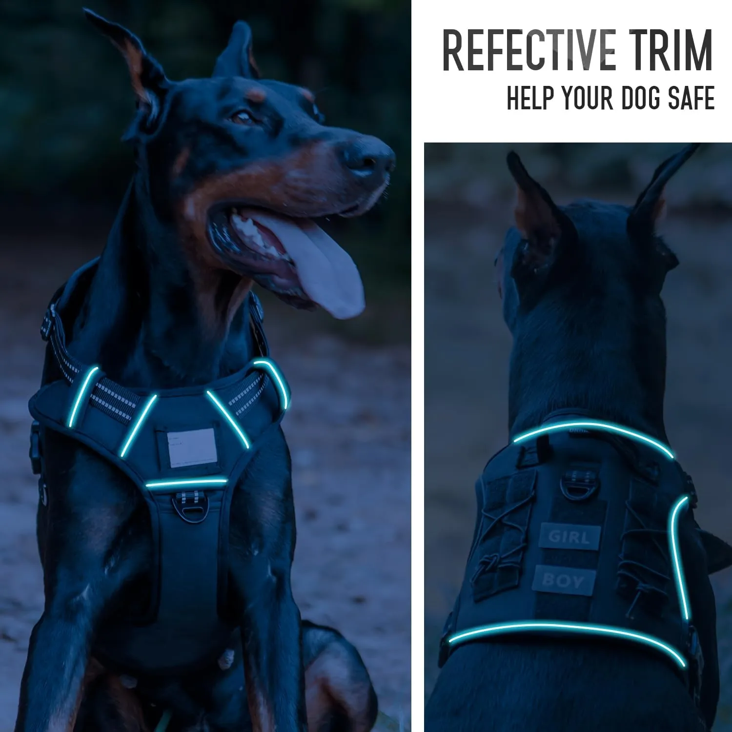 Tactical Dog Harness with Leash for Medium Large Dogs, Dog Car Leash Seat Belt with 5.5Ft No Pull Shock Absorbing, Leash Set with ID Card (Black, M)