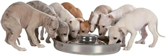 TRIXIE Junior puppy bowl, stainless steel 2 sizes