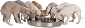 TRIXIE Junior puppy bowl, stainless steel 2 sizes