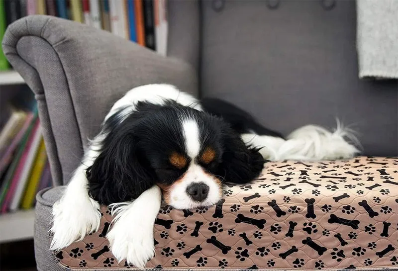 Waterproof & Reusable Sleep Pad