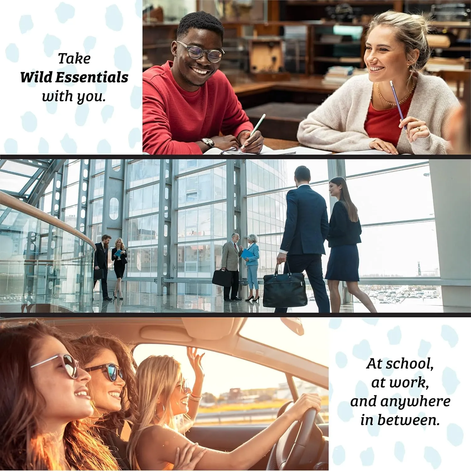 Wild Essentials Ginger 100% Pure Essential Oil - 10ml, Therapeutic Grade, Made and Bottled in The USA