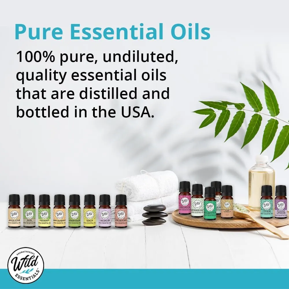 Wild Essentials Ginger 100% Pure Essential Oil - 10ml, Therapeutic Grade, Made and Bottled in The USA