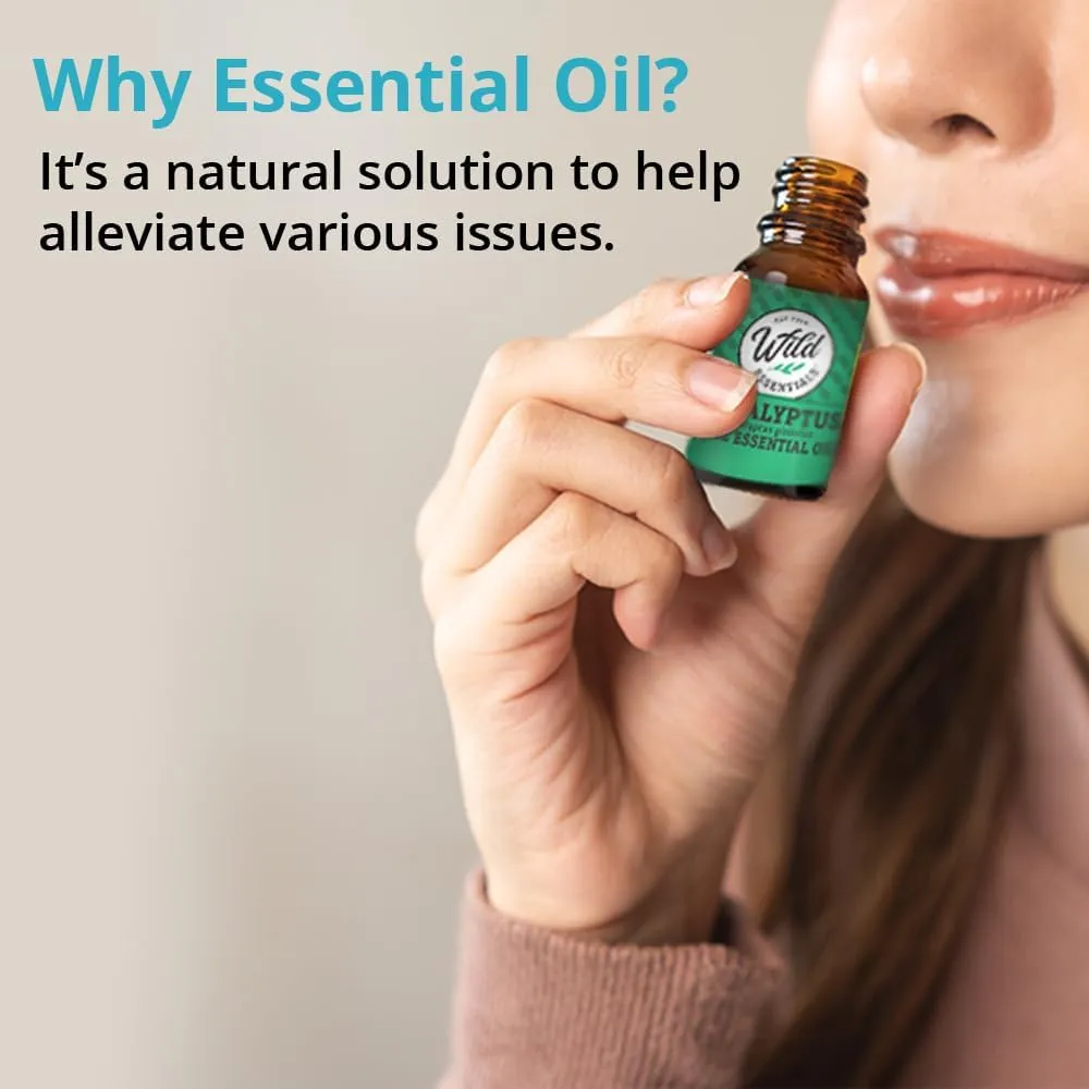 Wild Essentials Ginger 100% Pure Essential Oil - 10ml, Therapeutic Grade, Made and Bottled in The USA
