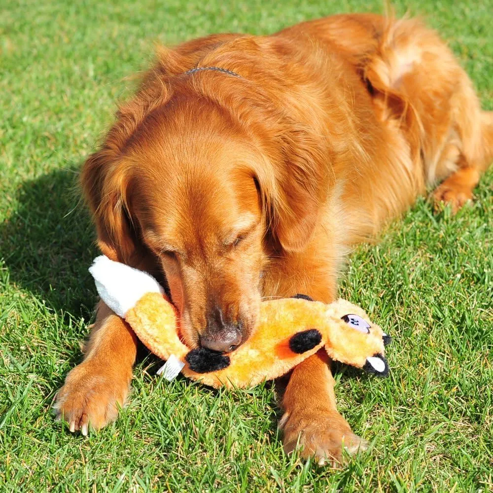 ZippyPaws Zingy Fox - Dog Toys no Stuffing, Squeaky Plush Dog Toy for Small & Medium Dogs, Interactive Puppy & Dog Chew Toys Without Stuffing for Boredom